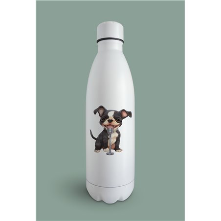 Insulated Bottle  - BT34