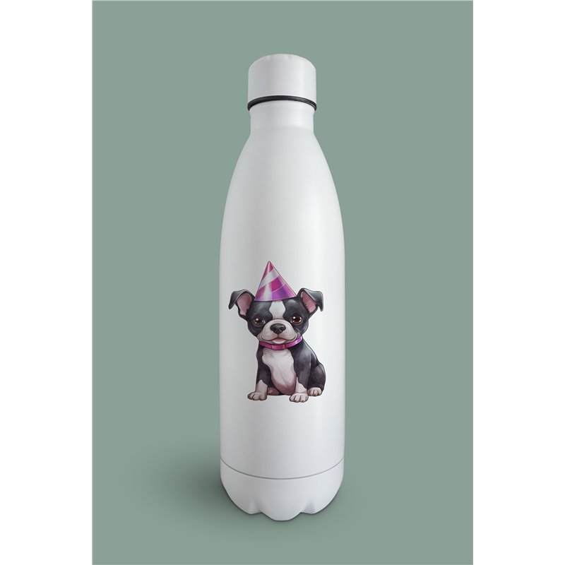 Insulated Bottle  - BT37