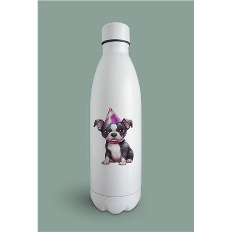 Insulated Bottle  - BT37