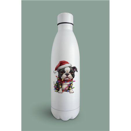Insulated Bottle  - BT38