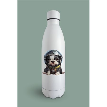 Insulated Bottle  - BT39