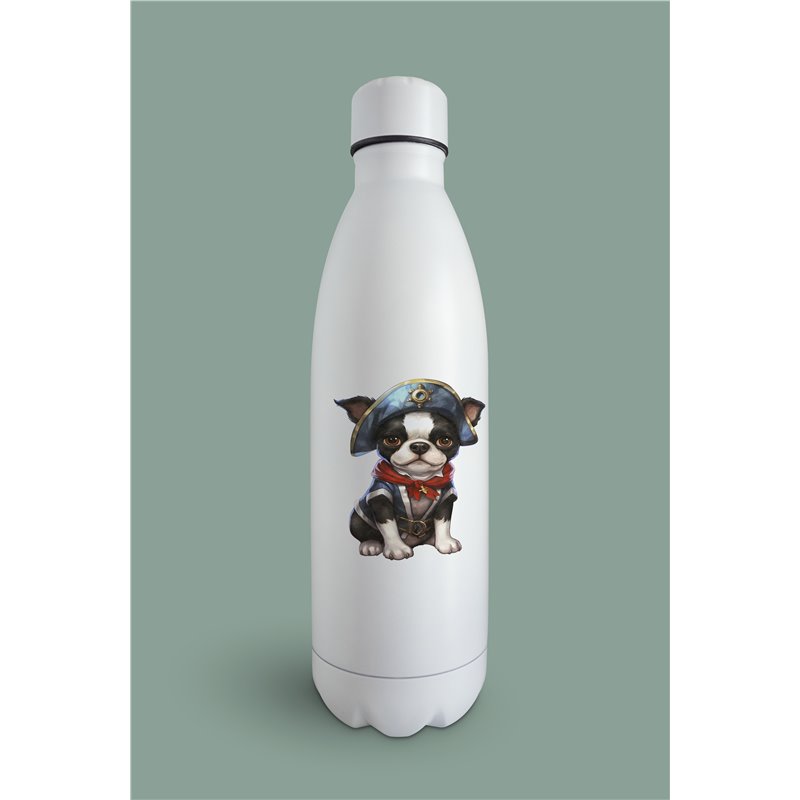 Insulated Bottle  - BT41