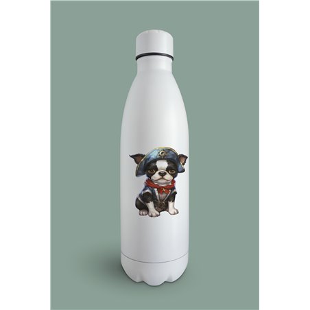 Insulated Bottle  - BT41
