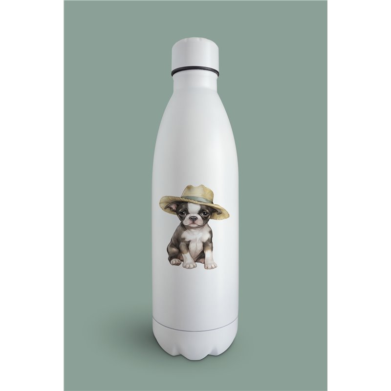 Insulated Bottle  - BT42