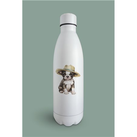 Insulated Bottle  - BT42
