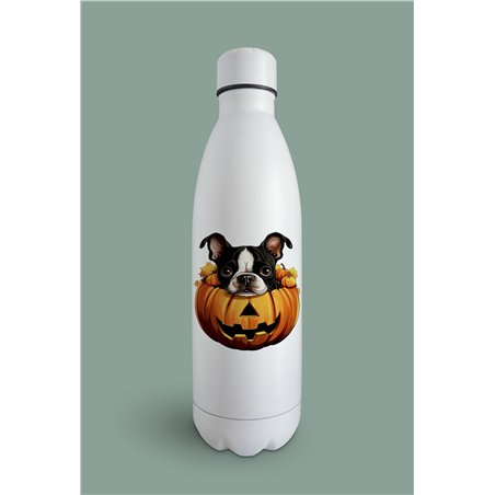 Insulated Bottle  - BT43