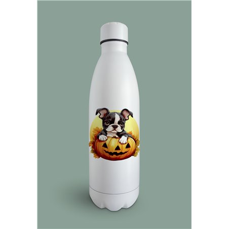 Insulated Bottle  - BT44