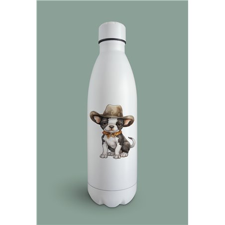 Insulated Bottle  - BT45