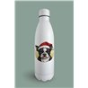 Insulated Bottle  - BT46