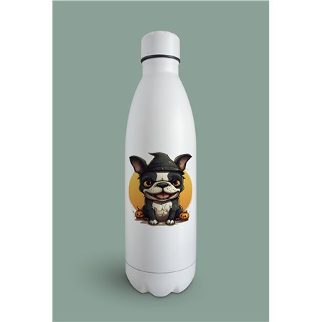 Insulated Bottle  - BT47