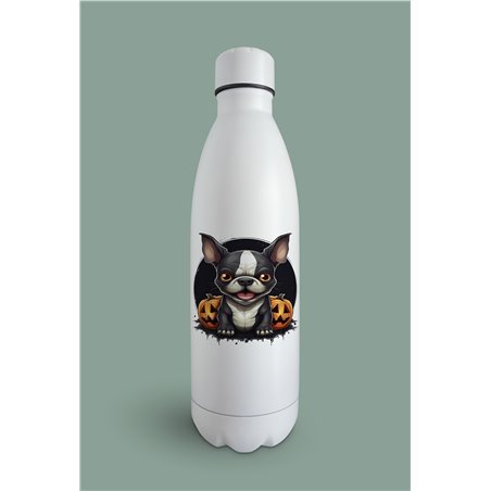 Insulated Bottle  - BT48