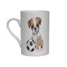 Bone China Mug BO-31