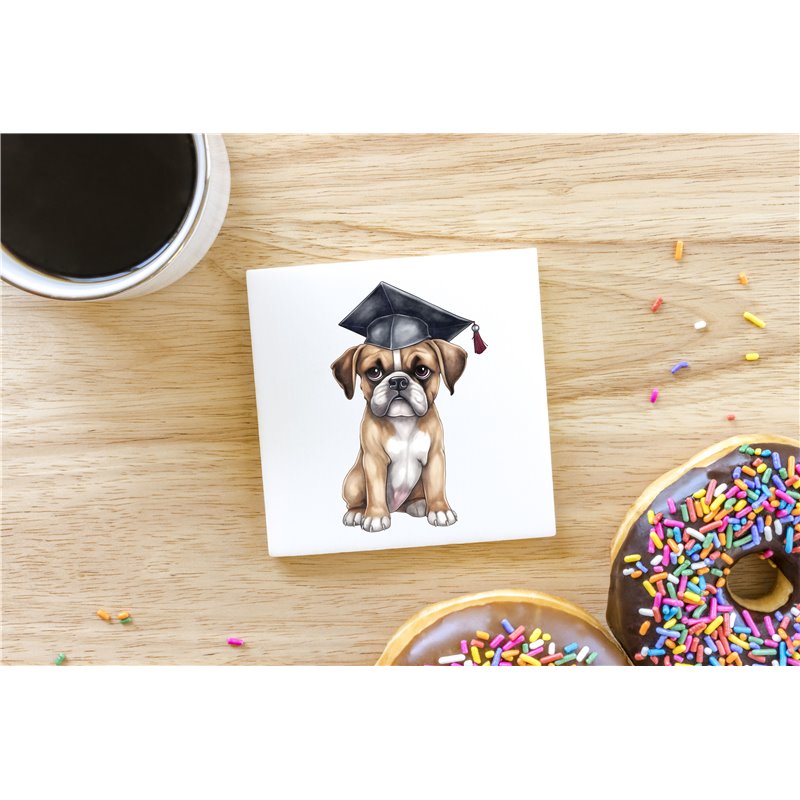 Ceramic Tile Coaster/ Trivet BO-4