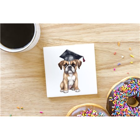 Ceramic Tile Coaster/ Trivet BO-4