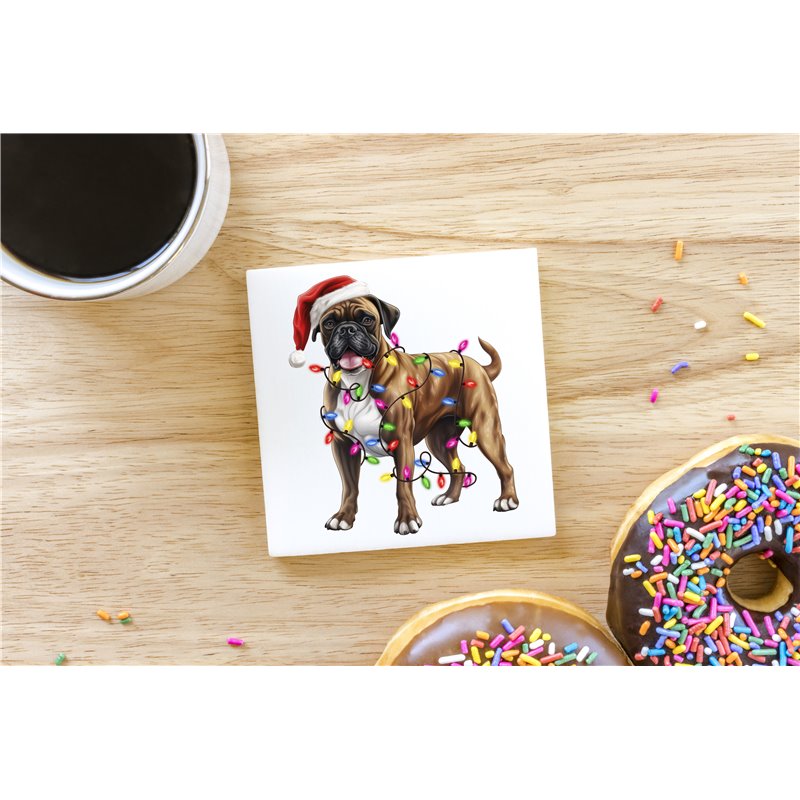 Ceramic Tile Coaster/ Trivet BO-37