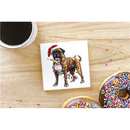 Ceramic Tile Coaster/ Trivet BO-37