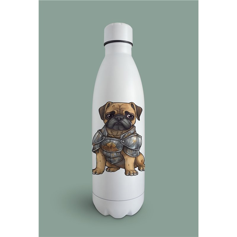 Insulated Bottle  BO-4