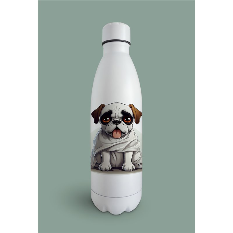 Insulated Bottle  BO-27