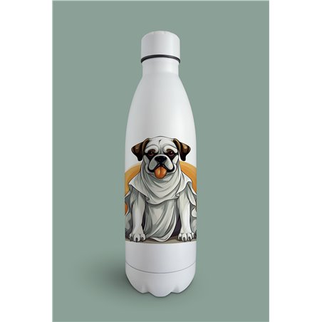 Insulated Bottle  BO-28