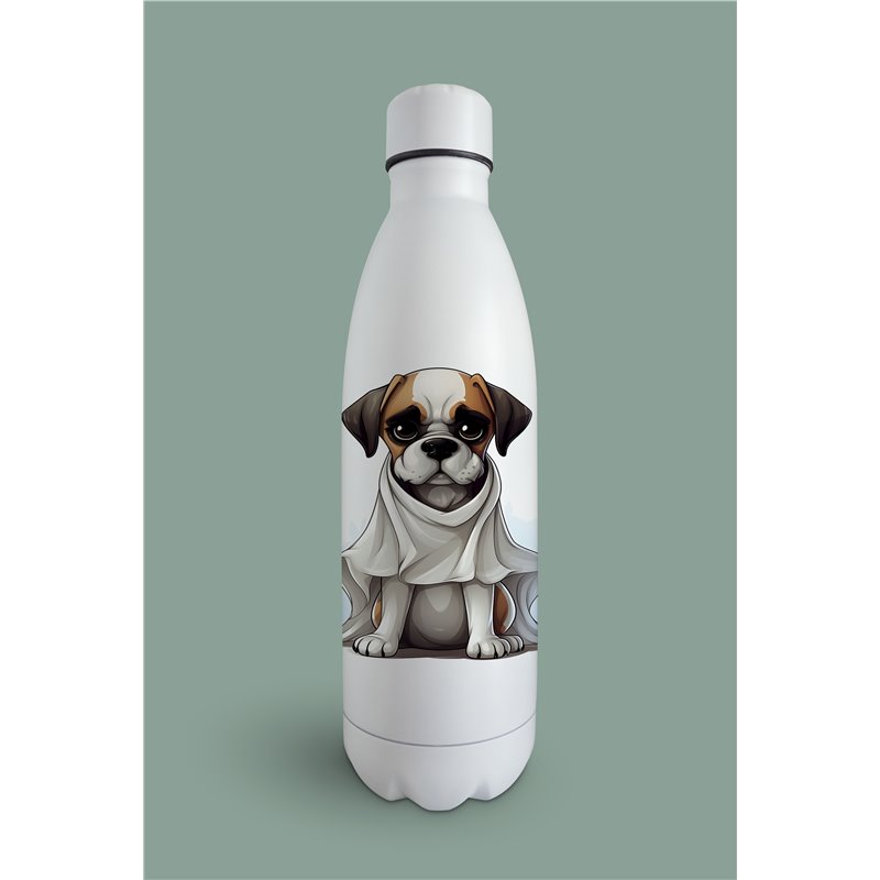 Insulated Bottle  BO-29