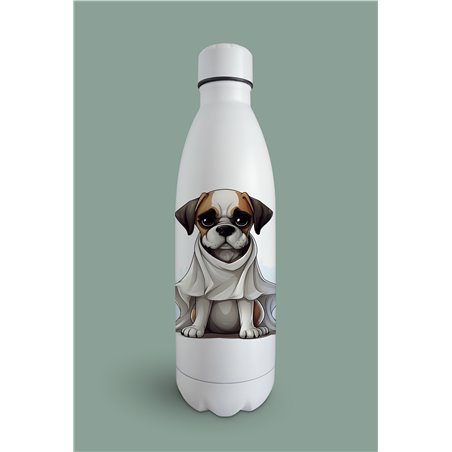 Insulated Bottle  BO-29