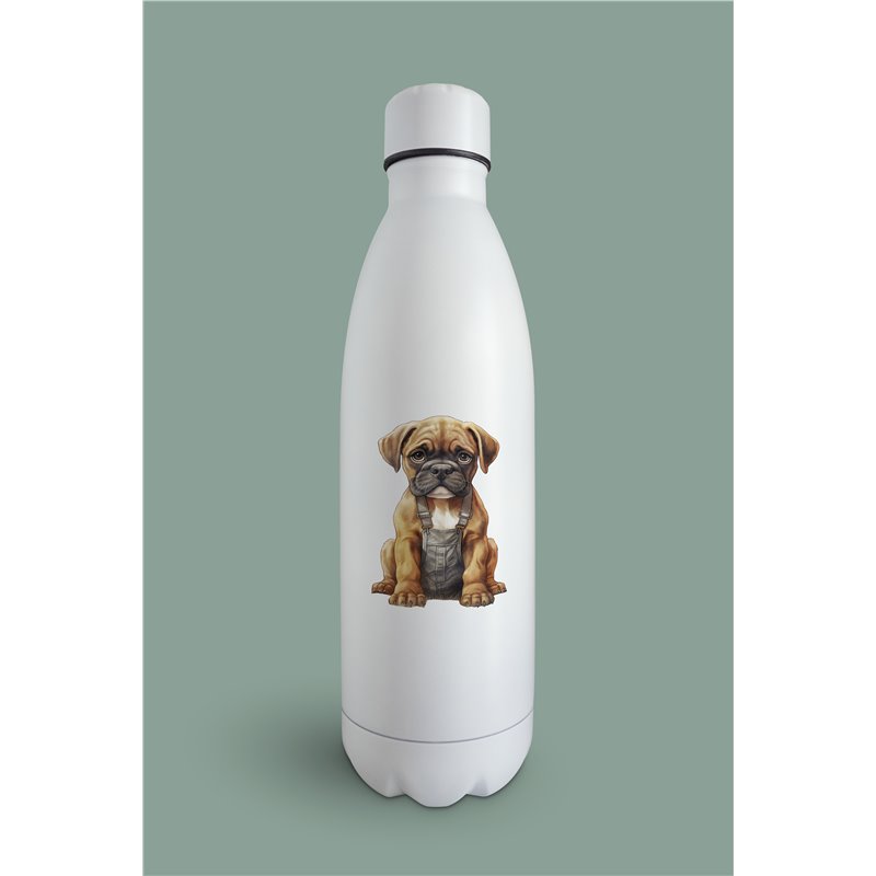 Insulated Bottle  BO-33