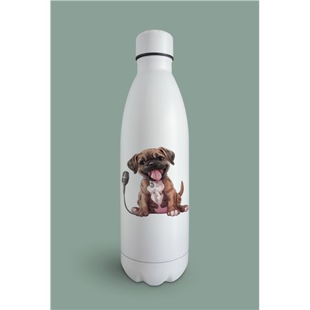 Insulated Bottle  BO-34