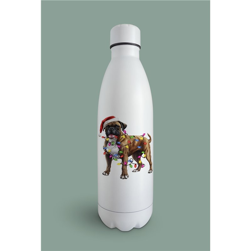 Insulated Bottle  BO-38