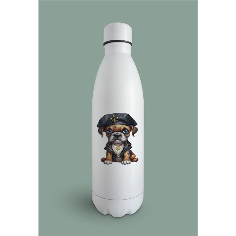 Insulated Bottle  BO-41