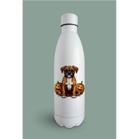 Insulated Bottle  BO-44