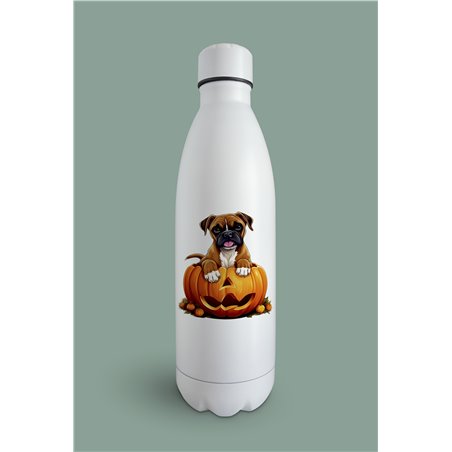 Insulated Bottle  BO-45