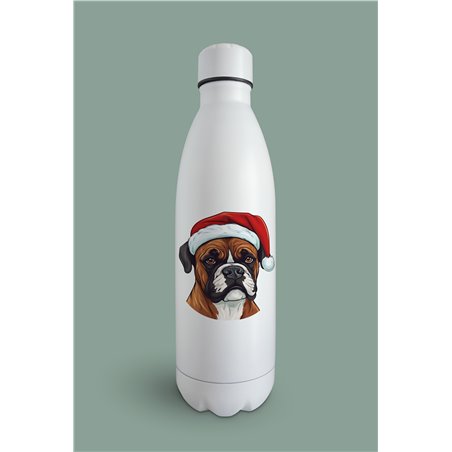 Insulated Bottle  BO-47