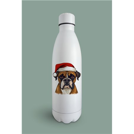 Insulated Bottle  BO-48