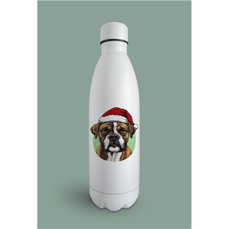 Insulated Bottle  BO-49