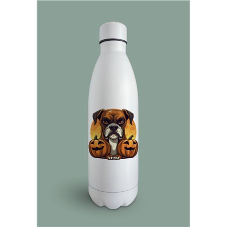 Insulated Bottle  BO-51