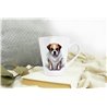 Short Latte Mug BO-26
