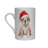 Bone China Mug - BD24