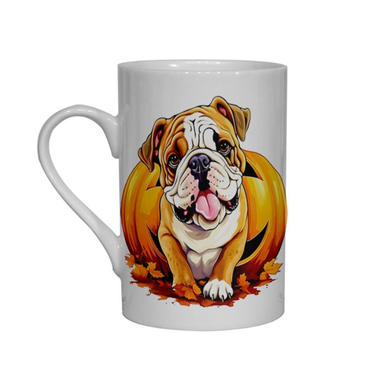 Bone China Mug - BD47