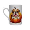 Bone China Mug - BD49