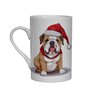 Bone China Mug - BD51