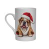 Bone China Mug - BD54