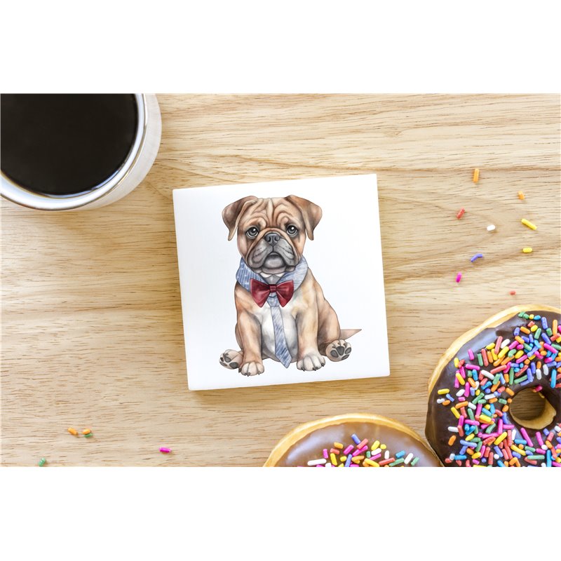 Ceramic Tile Coaster/ Trivet - BD6