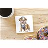 Ceramic Tile Coaster/ Trivet - BD36