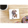 Ceramic Tile Coaster/ Trivet - BD37
