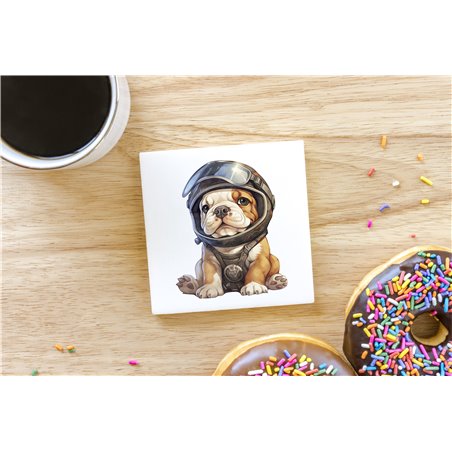 Ceramic Tile Coaster/ Trivet - BD43