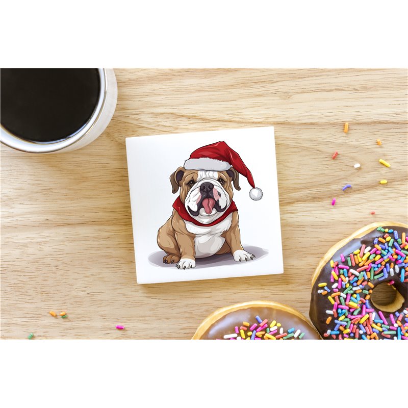 Ceramic Tile Coaster/ Trivet - BD51