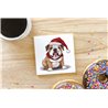 Ceramic Tile Coaster/ Trivet - BD51