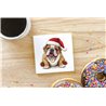 Ceramic Tile Coaster/ Trivet - BD54