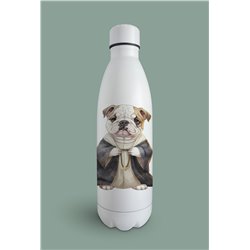 Insulated Bottle  - BD3