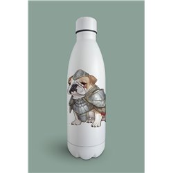 Insulated Bottle  - BD4